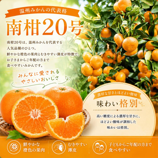南柑20号