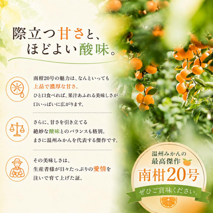 南柑20号
