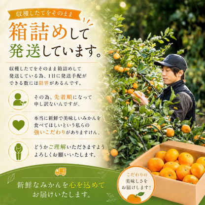 南柑20号