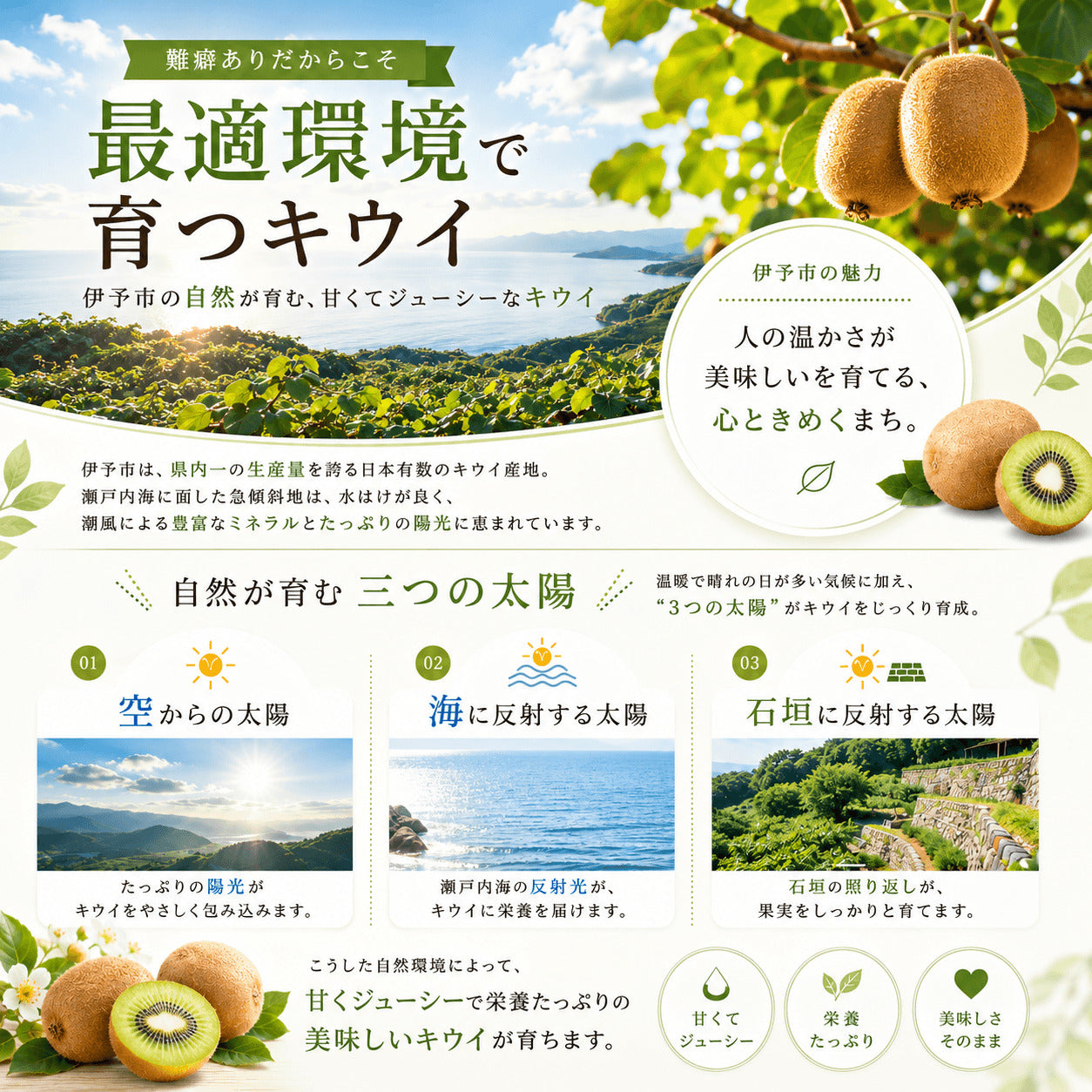 キウイフルーツ