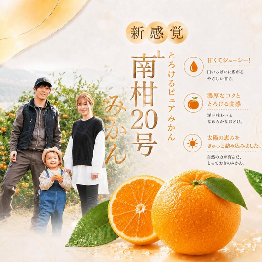 南柑20号