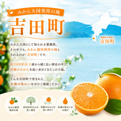 みかんジュース
