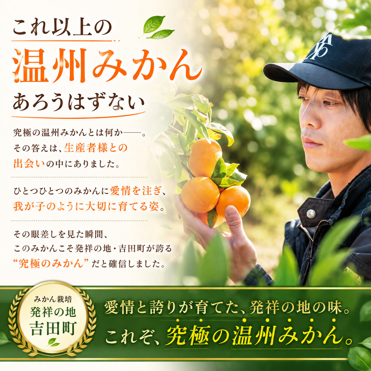 みかんジュース