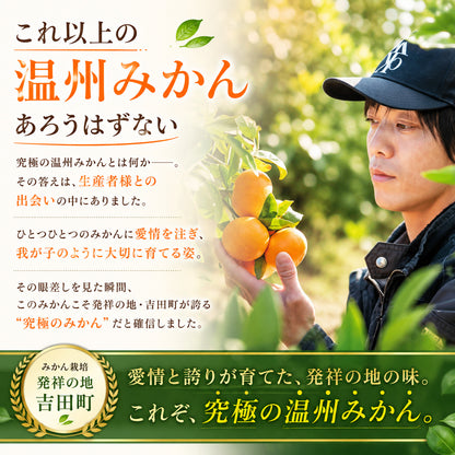 みかんジュース